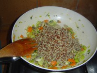 /album/fotogaleria-mix-de-quinoa-com-verdurinhas-e-champignon/adicionar-quinoas-jpg/